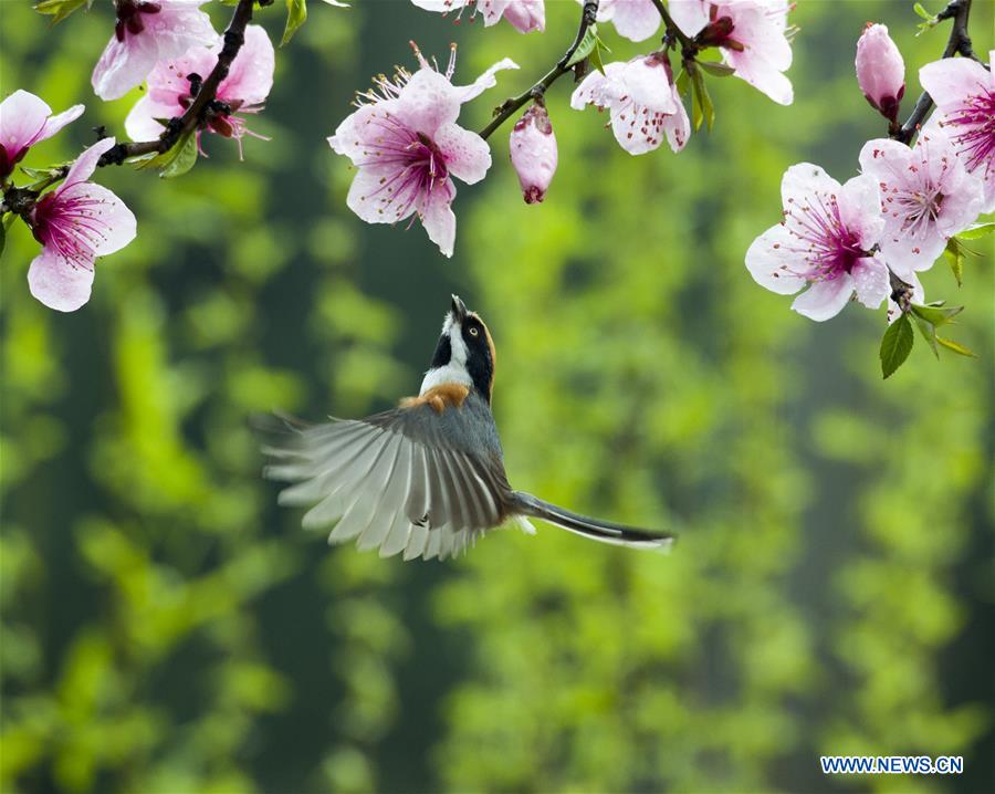 XINHUA PHOTO WEEKLY CHOICES (CN