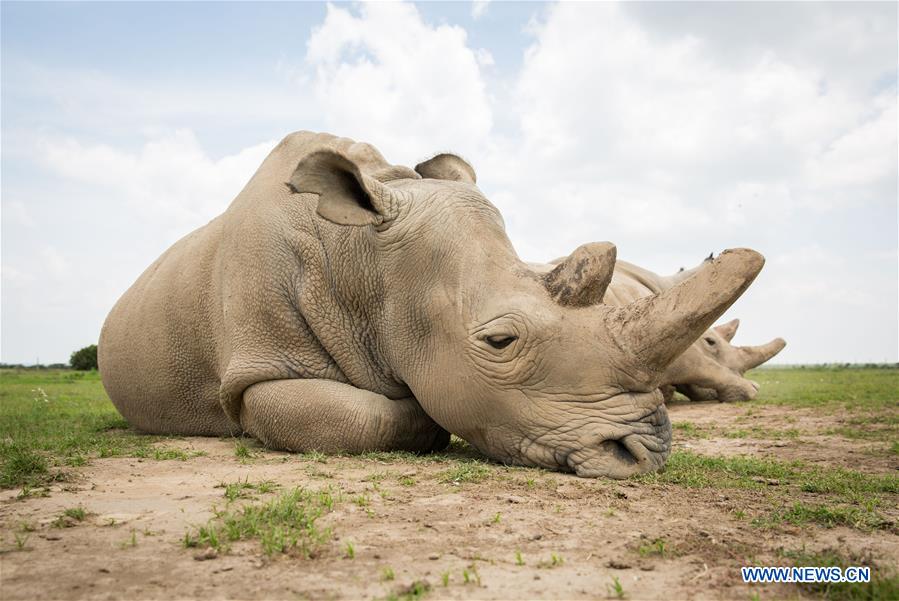 XINHUA PHOTO WEEKLY CHOICES (CN
