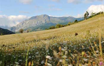 In picsPicos de Europa National Park in Spain