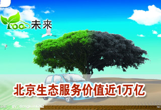 ʮ˴󱨸汱ʵֵ̬1