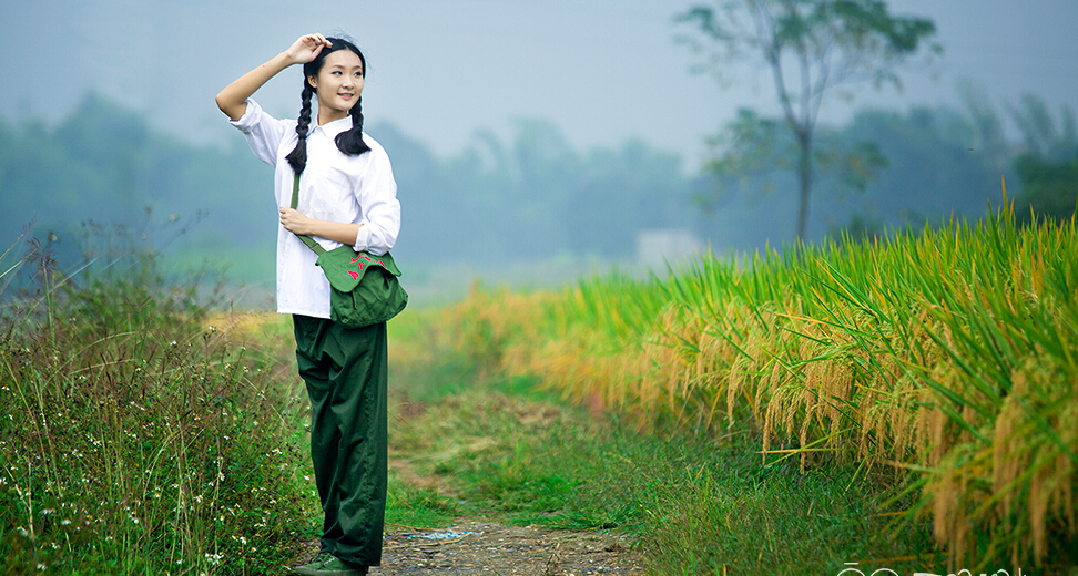 2015һļũ¶λ ȷ“ǿ”