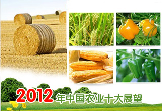 2012йũҵʮչ