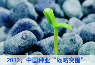 2012йҵ“սͻΧ”