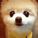 twitterȷ