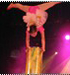 2010Ļйĺͬ