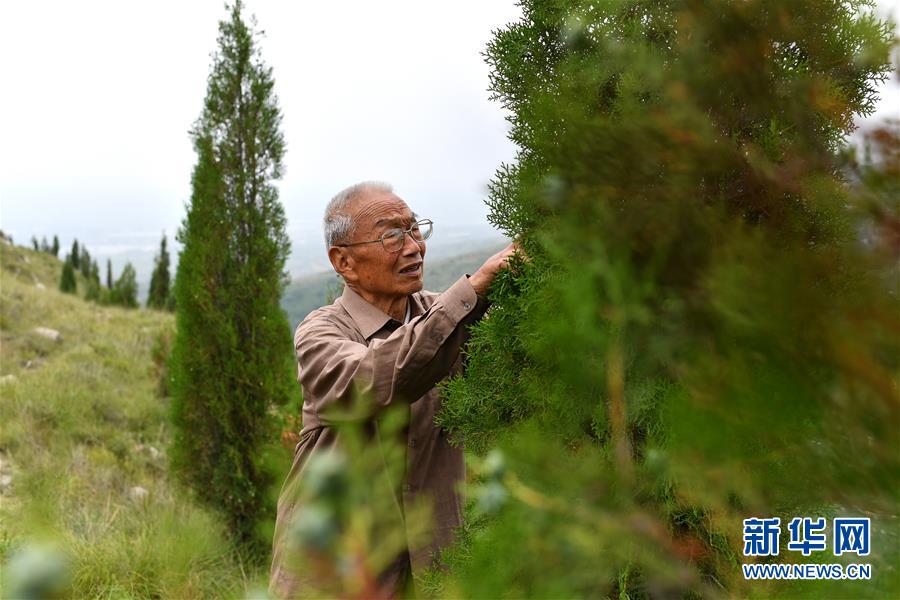 (在习近平新时代中国特色社会主义思想指引下——新时代新作为新篇章·图文互动)(5)中条山下绿意浓——一个“资源穷县”的生态发展之路