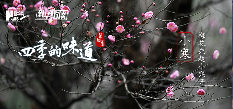 ֻ˴ͼ