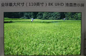  110Ӣ8Kʾ“ߴƷ”