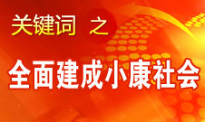 ƽȷ2020ȫ潨С