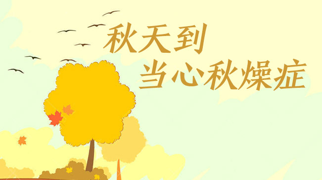 쵽“֢”