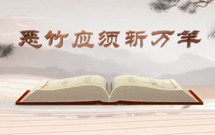 ƽ“”——ϰƽõ䡷ھżӦն
