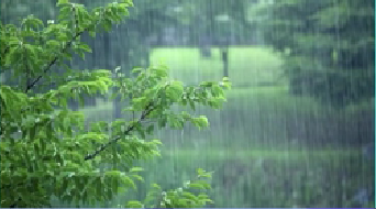 “÷” Ԥƽ÷ڽˮӽ