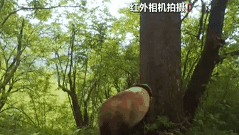 ĴˣҰèд“”
