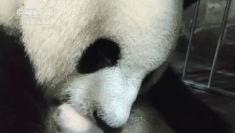 죺йȦèçв˫̥