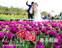 Ӯvwinͼӡ