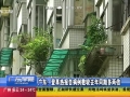㶫Ǹȱ没ȥͬڶ