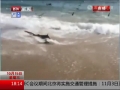 Ⱥ輯岶ʳ