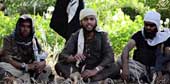 жЩ¶“ISIL”“ISIS” “˹”׽ɶ