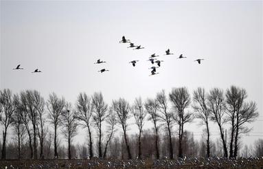 ĪĪ