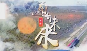 ͨδ