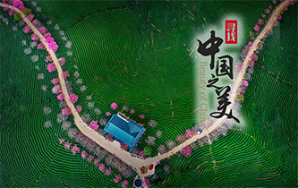 ɽ续ѴĹ½