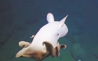 С